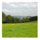 Grüne Wiese. Landschaftslandschaft Fotoausschnitt