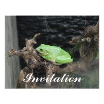 Grüner Baum-Frosch Ankündigungen