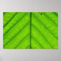 Grüner Blatt-Plakat-Druck