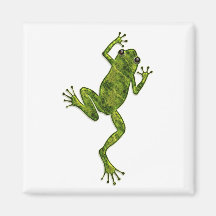 Grüner kletternder Baum-Frosch Magnete