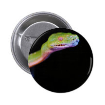 Grünes Baum-Boa-Ausdehnen Button