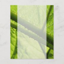 Grünes Blatt, gerichtet auf stachelige Mitte Flyer