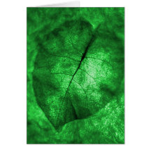 Grünes Blatt Grußkarten