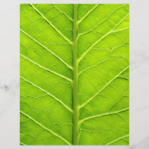 Grünes Blatt Individuelle Flyer