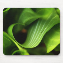 Grünes Blatt Mousepad