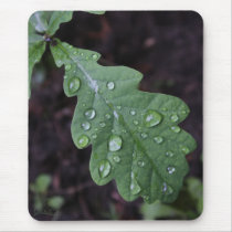 Grünes Eichenblatt im Regen mauspads
