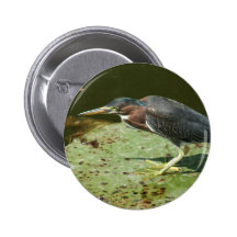 Grünreiher auf riesiger Lilien-Auflage Anstecknadelbutton