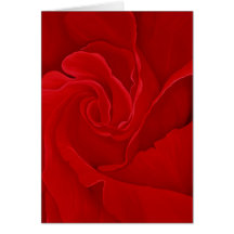 Gruß-Karte der Rosen-#16