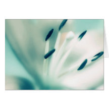 Gruß-Karten-Schablone ~Patchouli Lilien-Blume