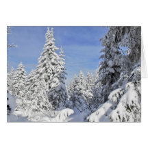 Grusskarte Wintertraum im Schwarzwald