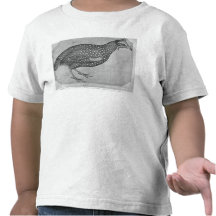 Guinea-Geflügel, vom Vallardi Album Shirt