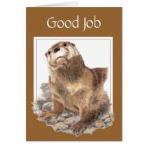 Guter Job, Anerkennung, Fluss-Otter Karten