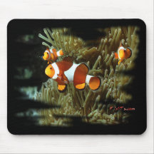 H2Oasis Clownfish Mousepads