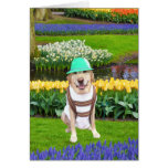 Haben Sie alles Gute zum Geburtstag! Karten