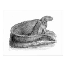 Hadrosaurus-Skulptur-Antiken-Druck Postkarte