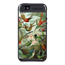 Haeckel Kolibris
