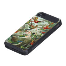 Haeckel Kolibris