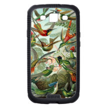 Haeckel Kolibris