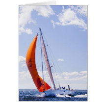 Haerlem Spinnaker (vertikal) Grußkarten