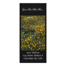 Hall-Insel-Wildblumen, Sumpf Saxifrage Individuelle Werbekarte
