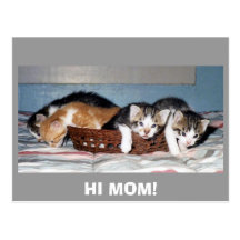 HALLO MAMMA! POSTKARTE