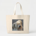Hallo Taschen