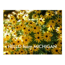 HALLO VON DER MICHIGAN-POSTKARTEN-POSTKARTE
