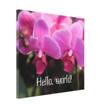 hallo Weltrosa Orchideen-Blumen Gespannte Galeriedrucke