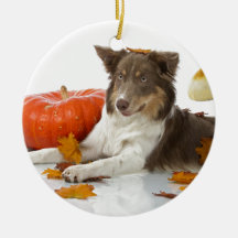 halloween border collie christmas ornament