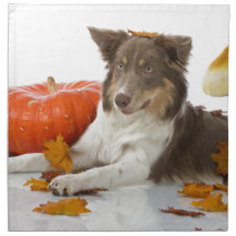halloween border collie printed napkins