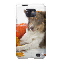 halloween border collie samsung galaxy s2 case