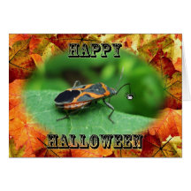 Halloween-Kasten-Ältest-Wanzen-Karte