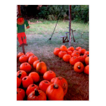 Halloween-Kürbis-Flecken Postkarte