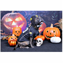 Halloween - Pitbull - Marley Photostatue