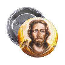 Halo St. Franics, Hut, Becher, Haustierumbau, Schl Anstecknadelbuttons