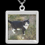 Halskette der Katzen-10 halsketten