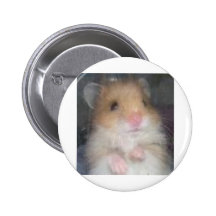 Hamster Buttons