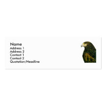 Harris-Falke-Visitenkarte