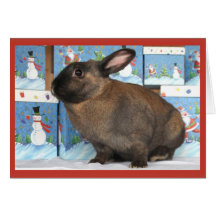 Häschen Chritmas mit Schneemann-Feiertags-Kästen Karten