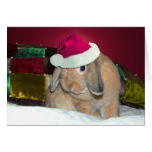 Häschen-Weihnachtskarte 1 Schmierölniederdrucks oh