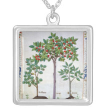 Haselnuss Bush und Kirschbaum Halskette