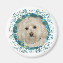 Havanese auf Türkis-Wasser Magnete