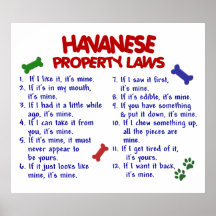 HAVANESE PL2 POSTERDRUCK