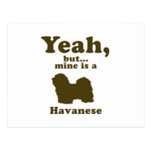 Havanese Postkarten