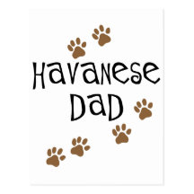 Havanese Vati Postkarten