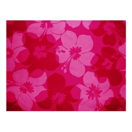 Hawaii-Blume Postkarten