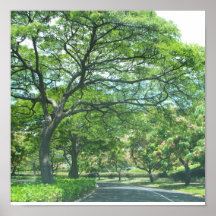 Hawaii-Grün Plakatdruck