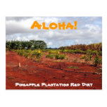 Hawaiische Ananas-Plantagen-Postkarte