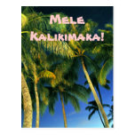Hawaiische frohe Weihnacht-Postkarte