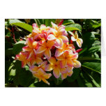 Hawaiischer Frangipani Grußkarten